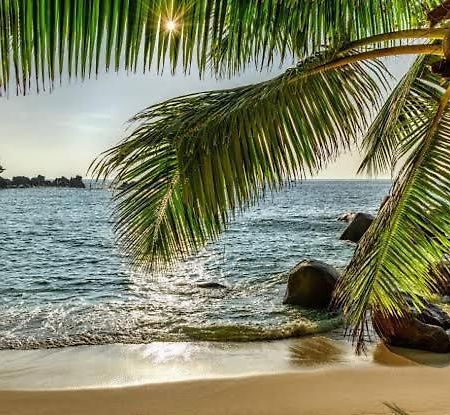 Baga Beach Palms Εξωτερικό φωτογραφία