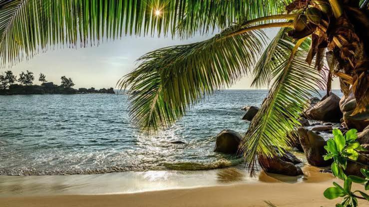 Baga Beach Palms Εξωτερικό φωτογραφία